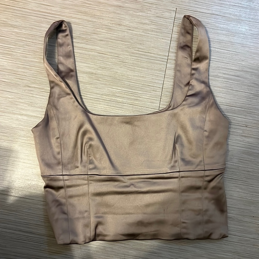Aritzia Wilfred Shine Bustier Top